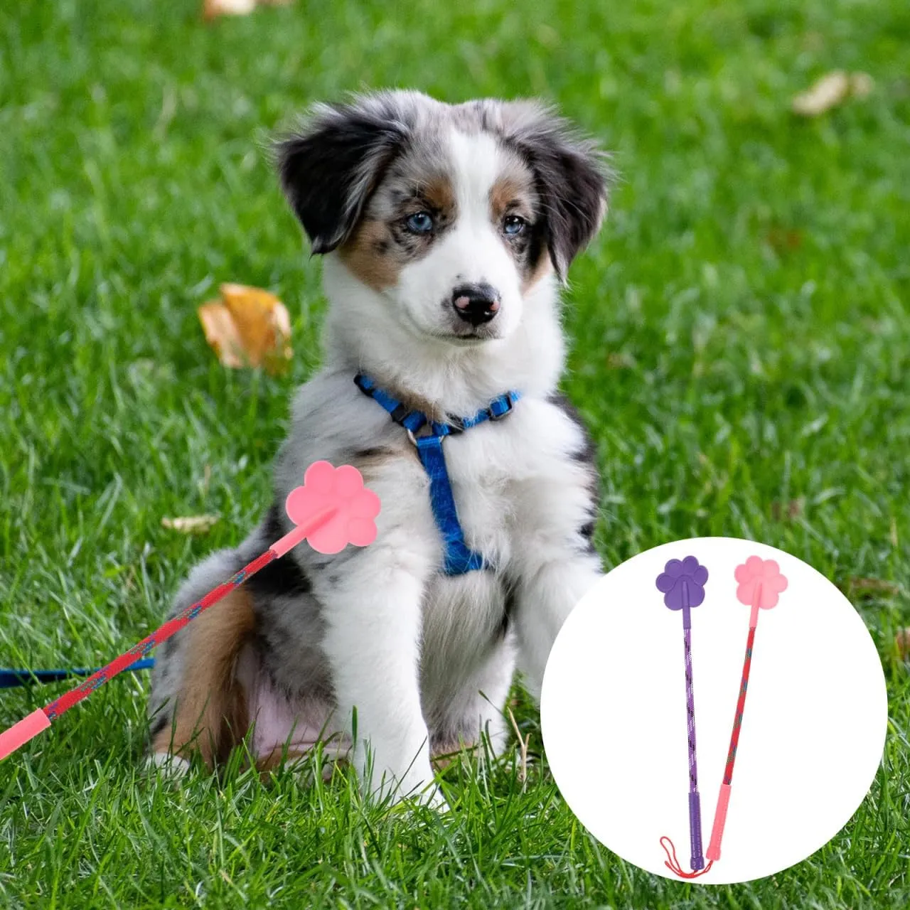 2pcs Dog Training Tool Supplies Small Dog Toys Lure Stick for Dogs Targeting Stick Cat Training Clicker Toy Tools Pet Training Stick Dog Stuff Puppy Dog Trainer