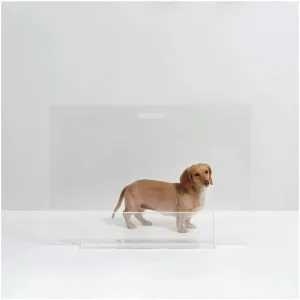 30" Clear Freestanding Pet Gate Panel