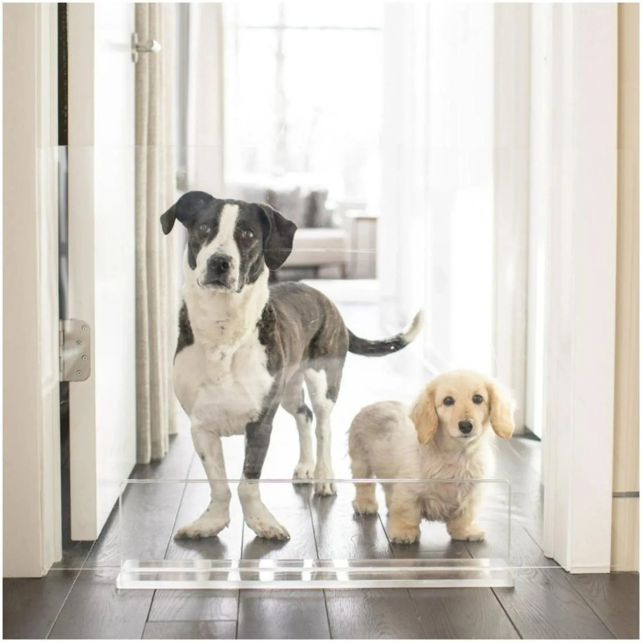 30" Clear Freestanding Pet Gate Panel