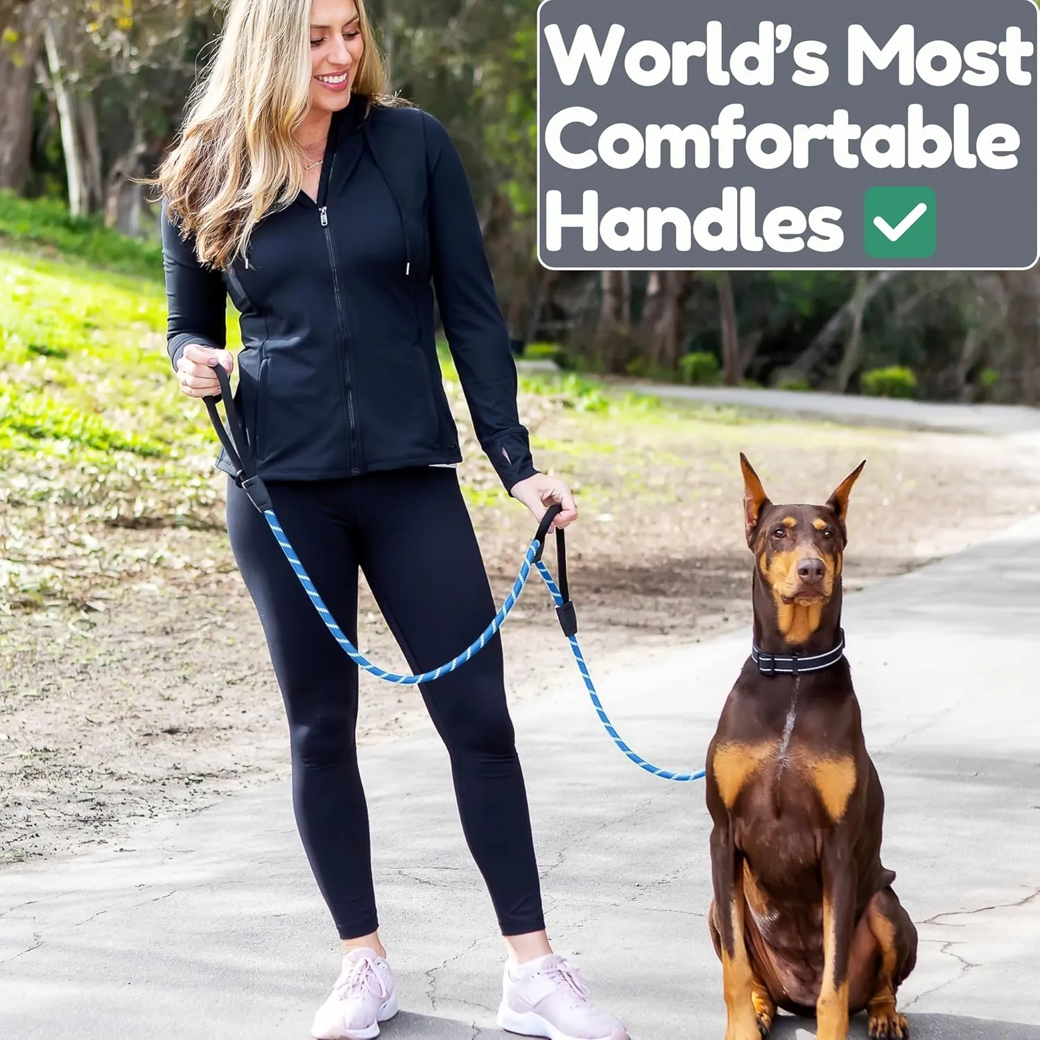 6 Foot Dog Leash, Two Extra Padded Handles, Heavy Duty Dog Leash for Medium to Large Pets, Highly Reflective, Shock-Absorbing No Pull Rope Lead, Durable for Walking, Running, Training Lead - Roam Gear