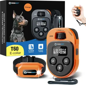 ABBIDOT Dog Training Collar with Remote, Trainers Choice, 4100Ft, 178 Levels, 5 Modes (E-Clicker, Night Lights, Vibration, Correction, Tone), Waterproof, Fits 5-120lbs Small, Medium, Large Dogs