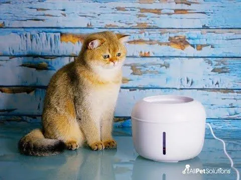 AllPetSolutions Pet Cat / Dog Water Drinking Fountain 2.5L