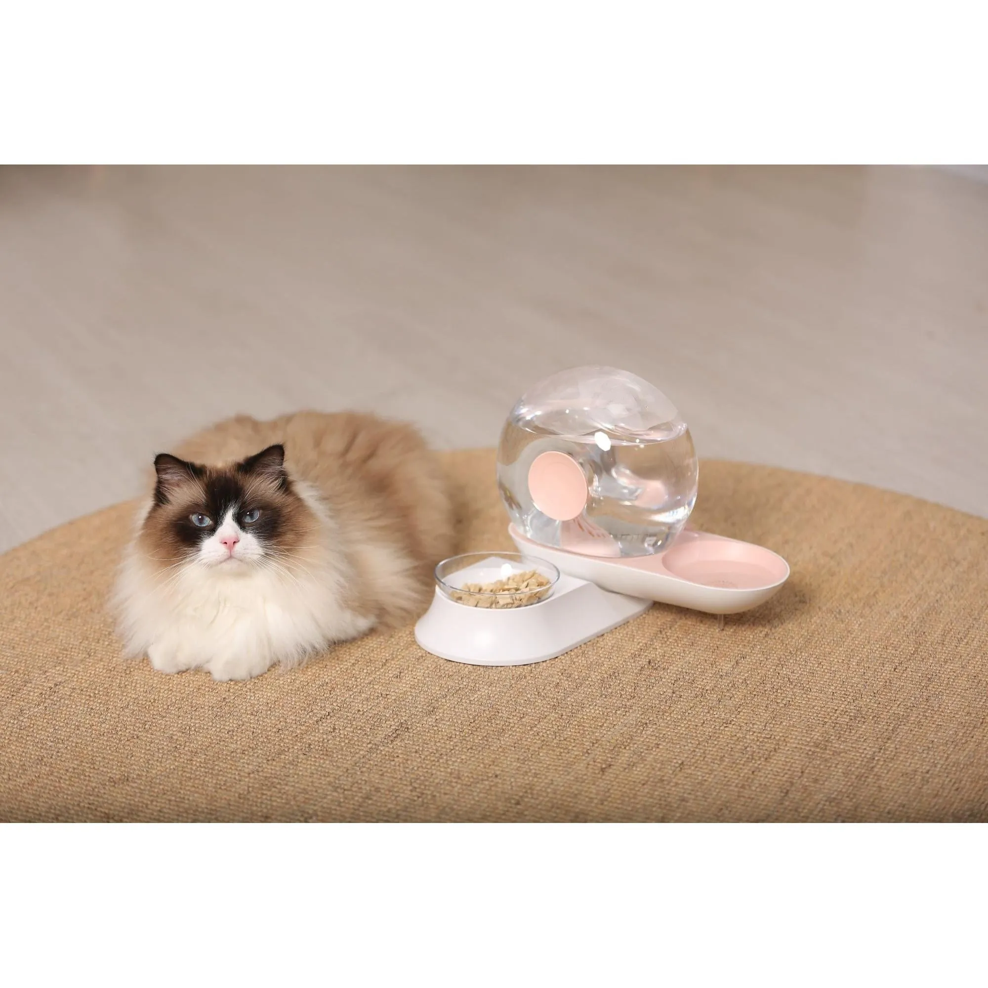 Automatic pet water dispenser Felina