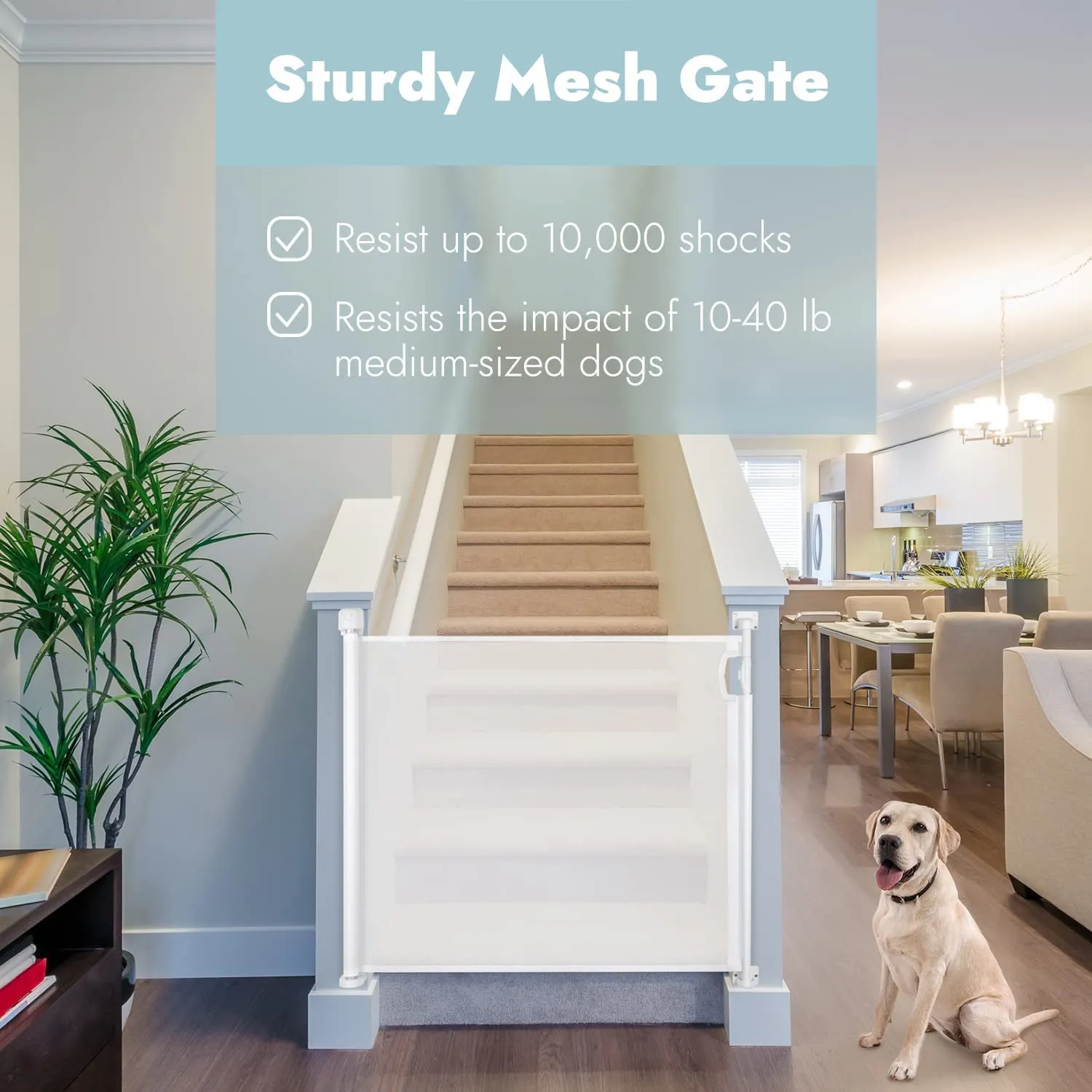 Baybee Retractable Mesh Baby Safety Gate for Kids, Baby Fence Barrier Pet Gate Expandable Upto 140Cm (White)