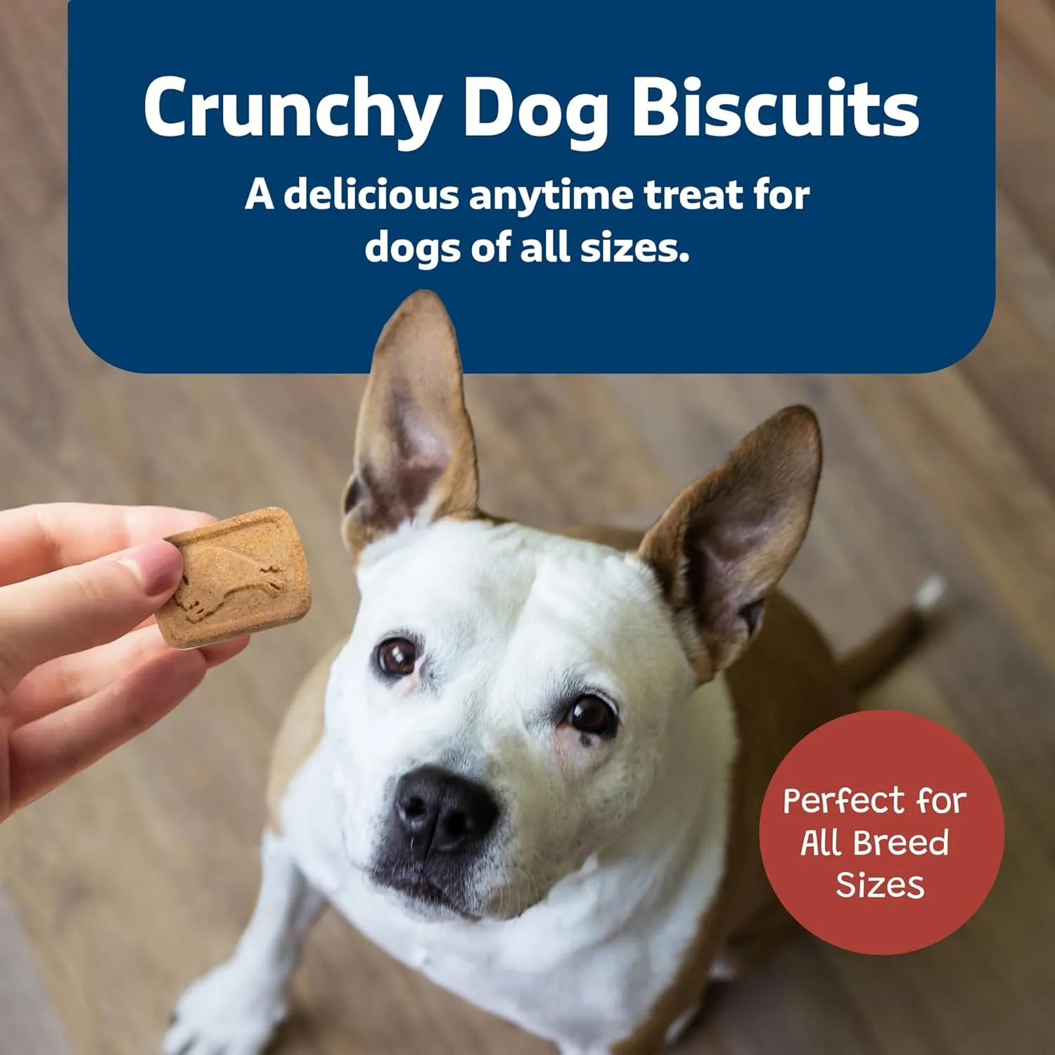 Blue Buffalo Health Bars Oven-Baked with Natural Ingredients, Bacon, Egg & Cheese Crunchy Dog Biscuits, 3 lbs.