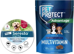 Bundle of Seresto Large Dog Collar for Dogs Over 18 lbs.   Pet Protect Daily Multivitamin for Dogs | 60 Chews