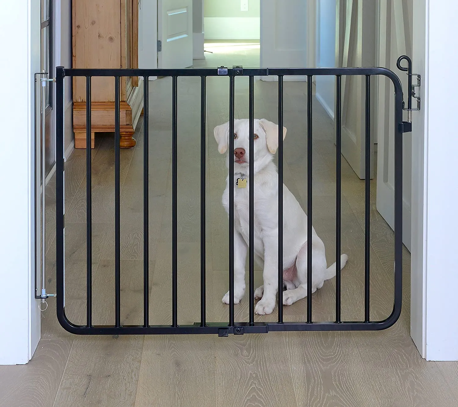 Cardinal Auto Lock Pet Gate - 30" Height