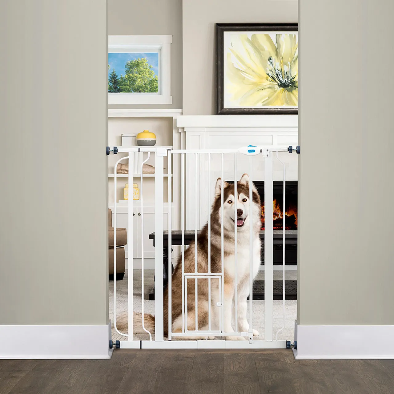 Carlson Expandable Extra Tall Walk Thru Pet Gate