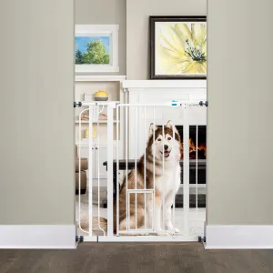 Carlson Expandable Extra Tall Walk Thru Pet Gate