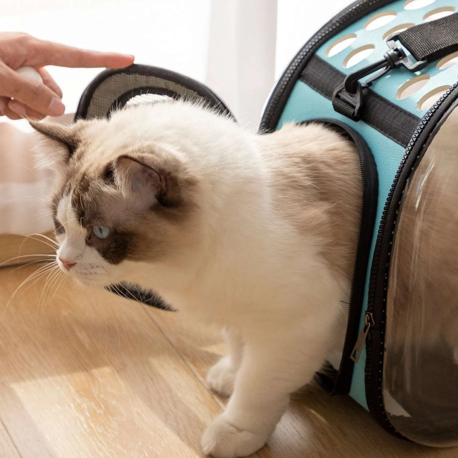 Cat Space Capsule Transparent Carrier Backpack