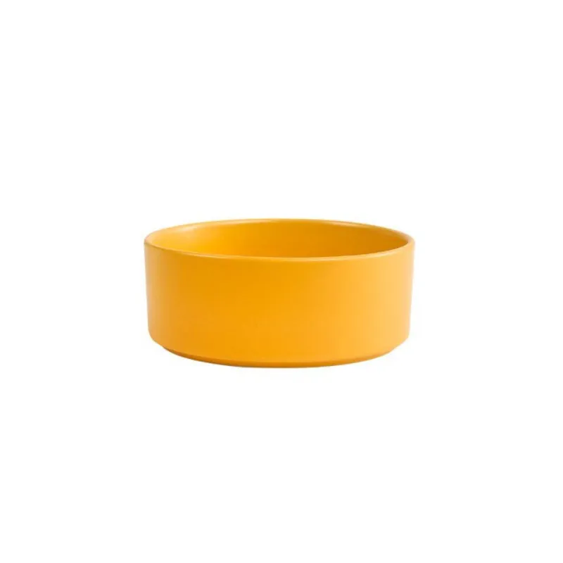 Ceramic Cat Feeding Bowls