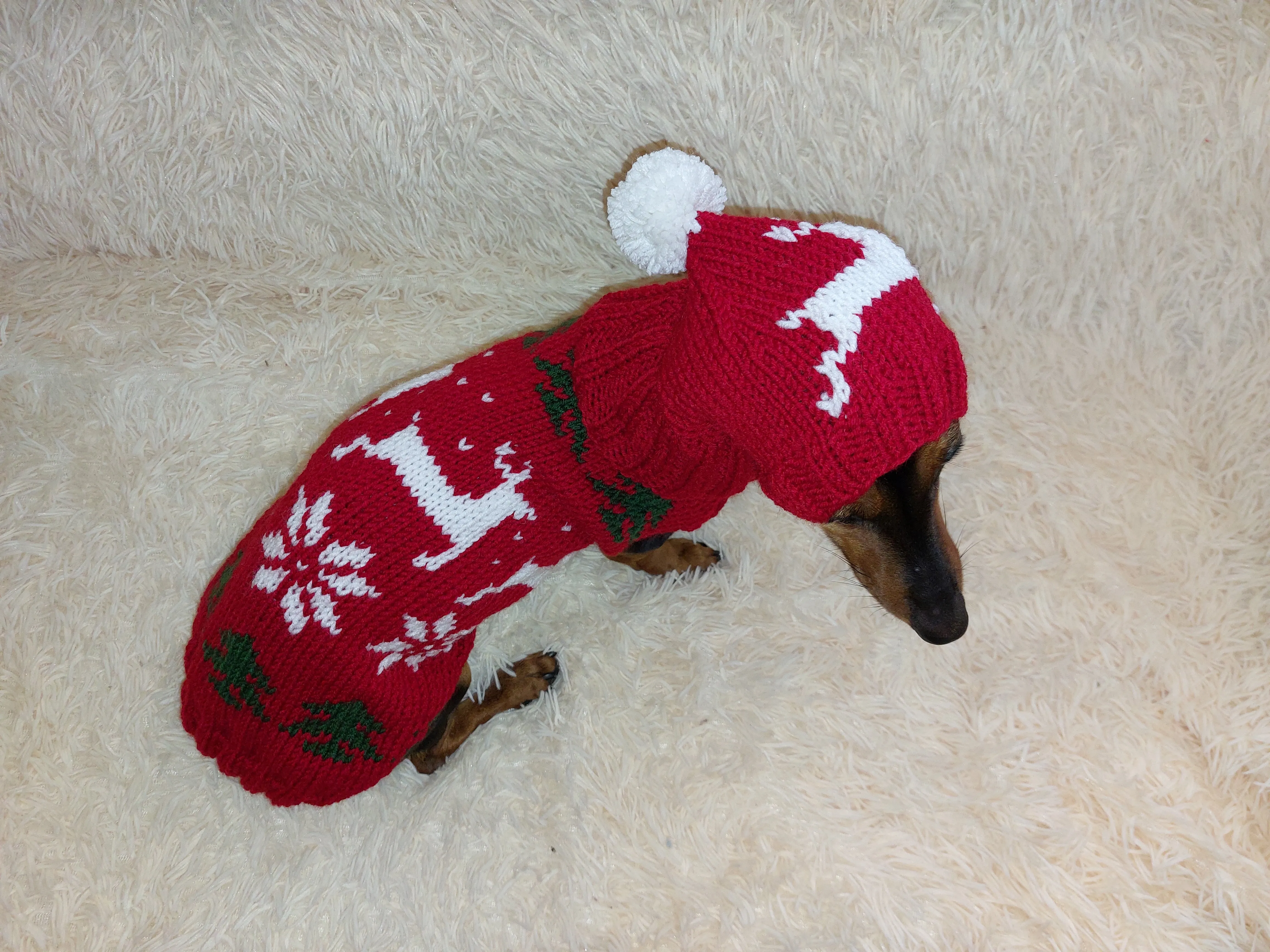 Christmas outfit for a dachshund costume sweater and hat with Christmas trees, snowflakes and deer