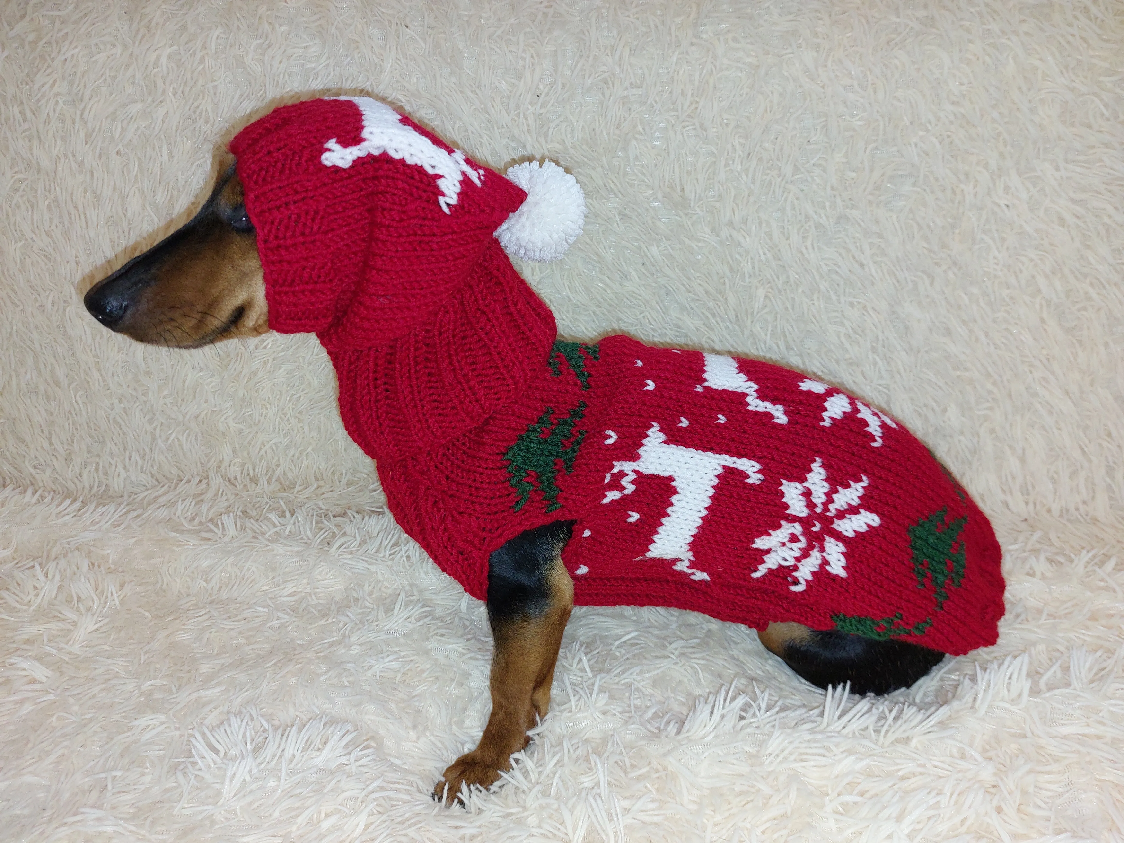 Christmas outfit for a dachshund costume sweater and hat with Christmas trees, snowflakes and deer