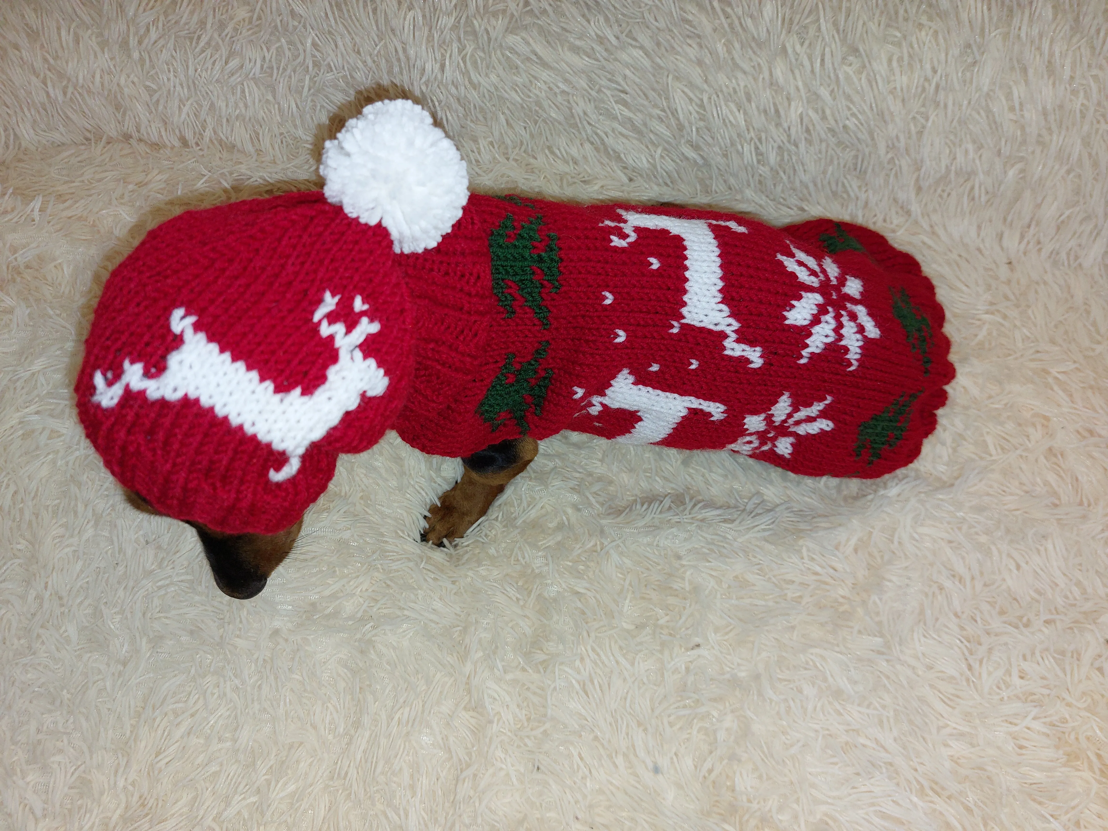 Christmas outfit for a dachshund costume sweater and hat with Christmas trees, snowflakes and deer