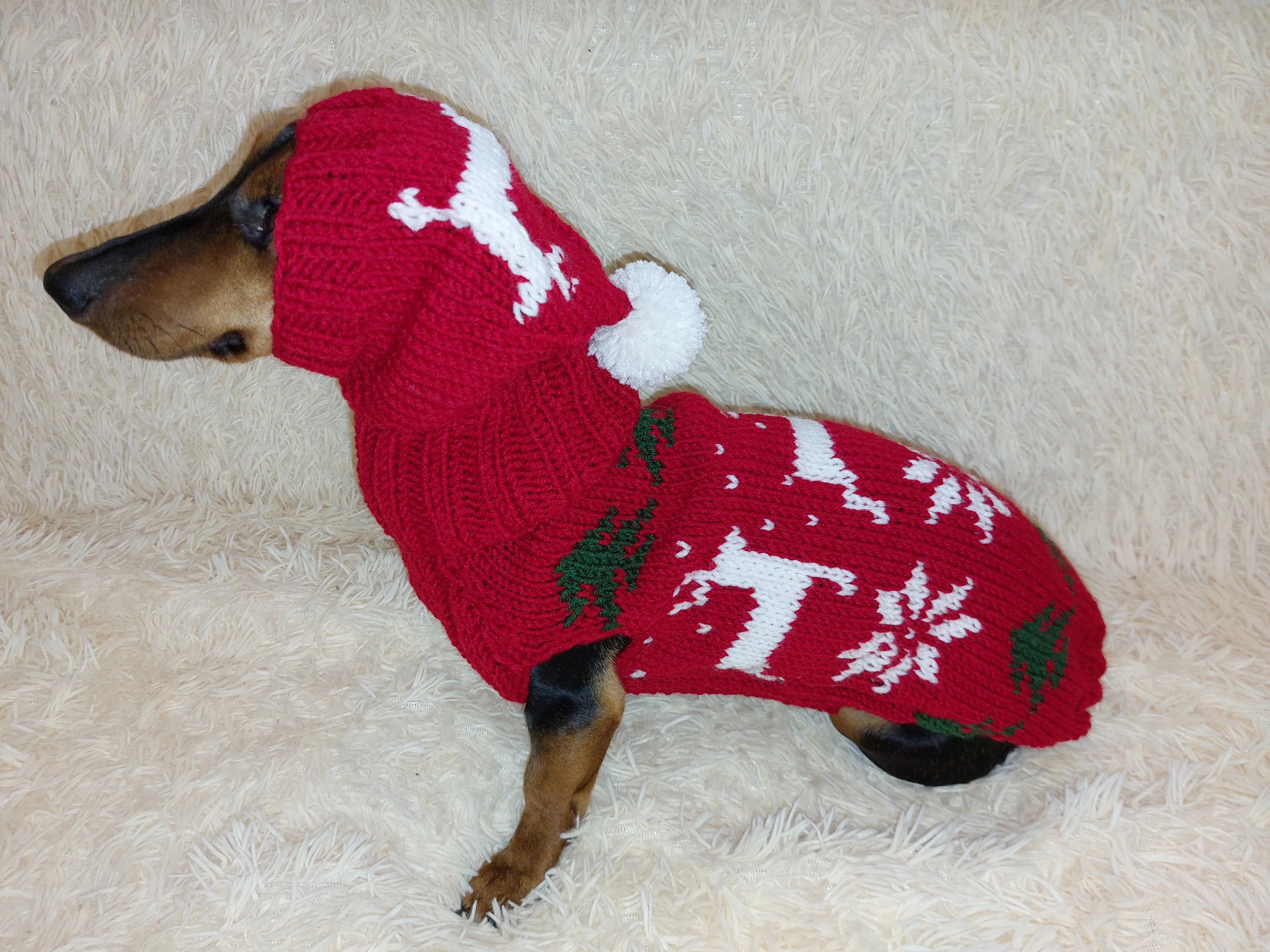 Christmas outfit for a dachshund costume sweater and hat with Christmas trees, snowflakes and deer