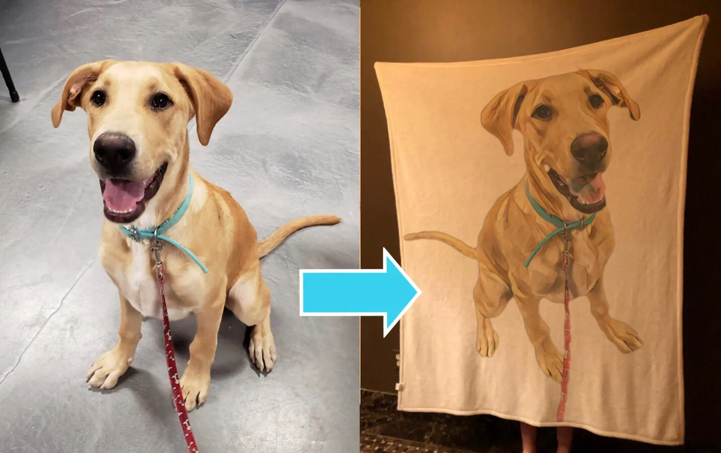 Custom Pet Fleece Blanket