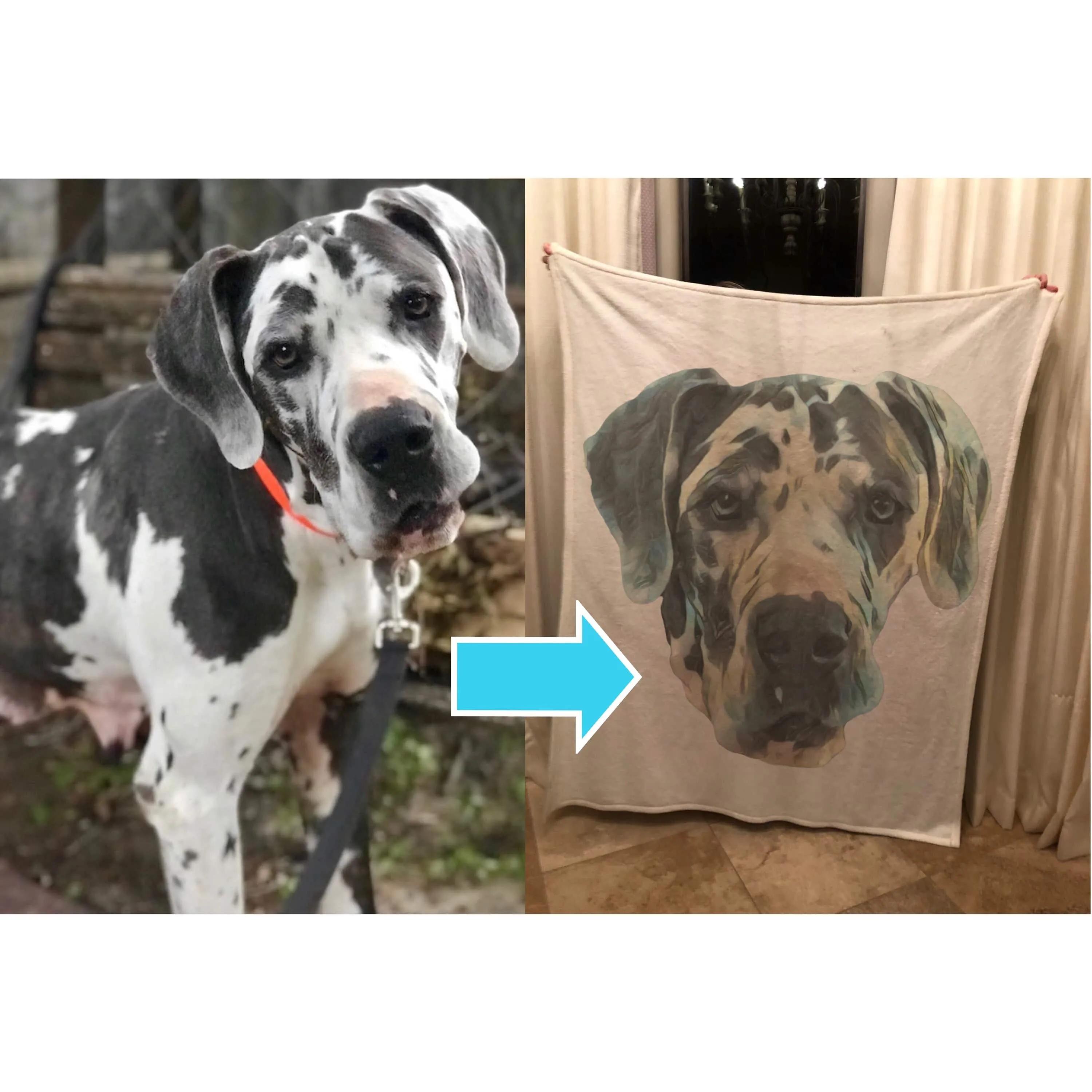 Custom Pet Fleece Blanket
