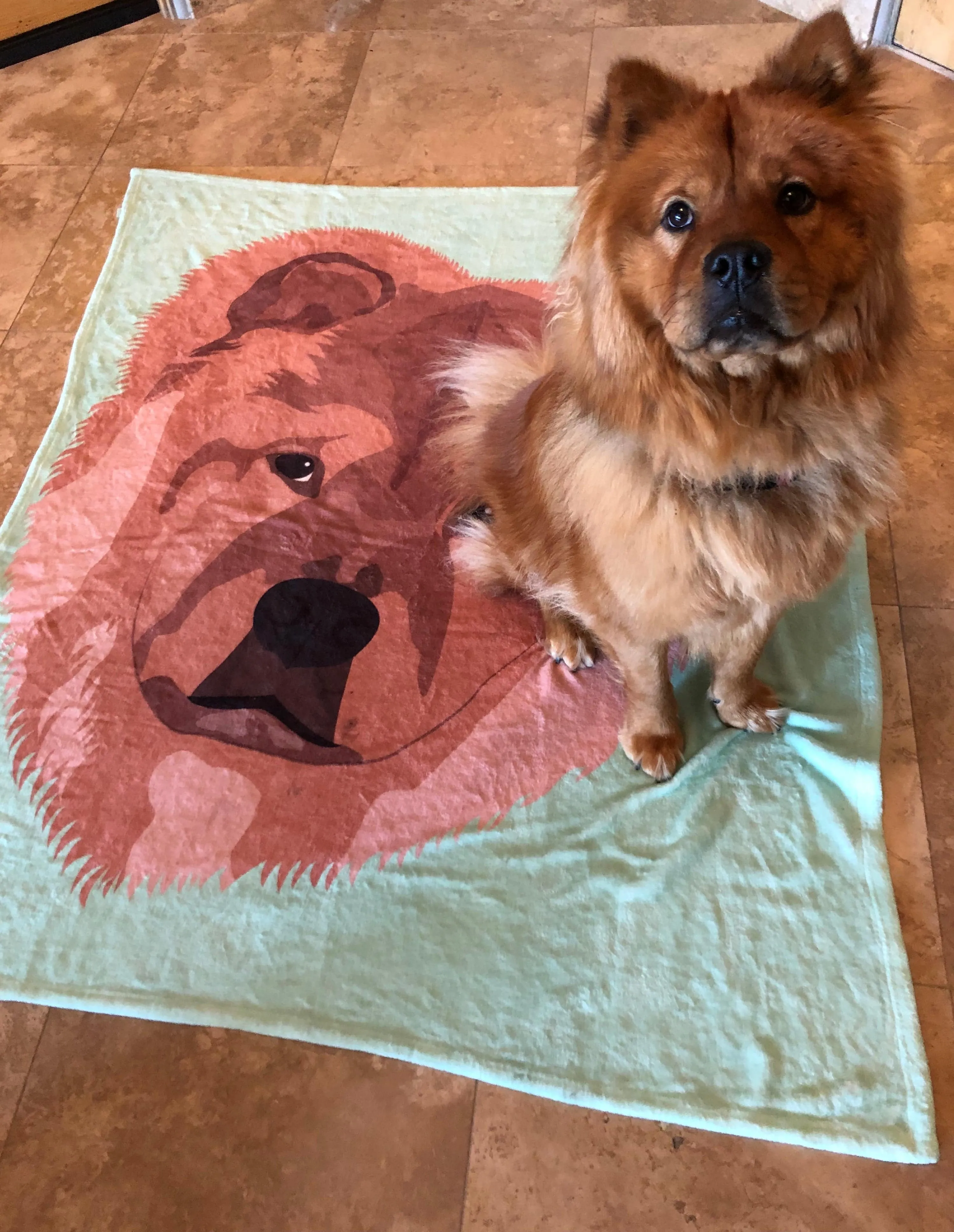 Custom Pet Fleece Blanket