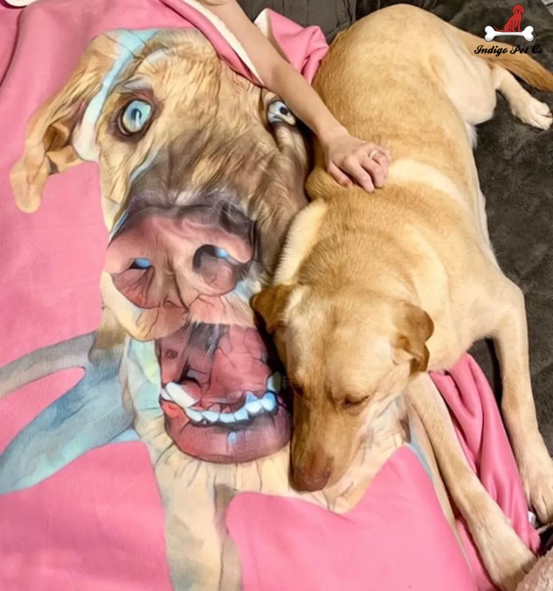 Custom Pet Fleece Blanket