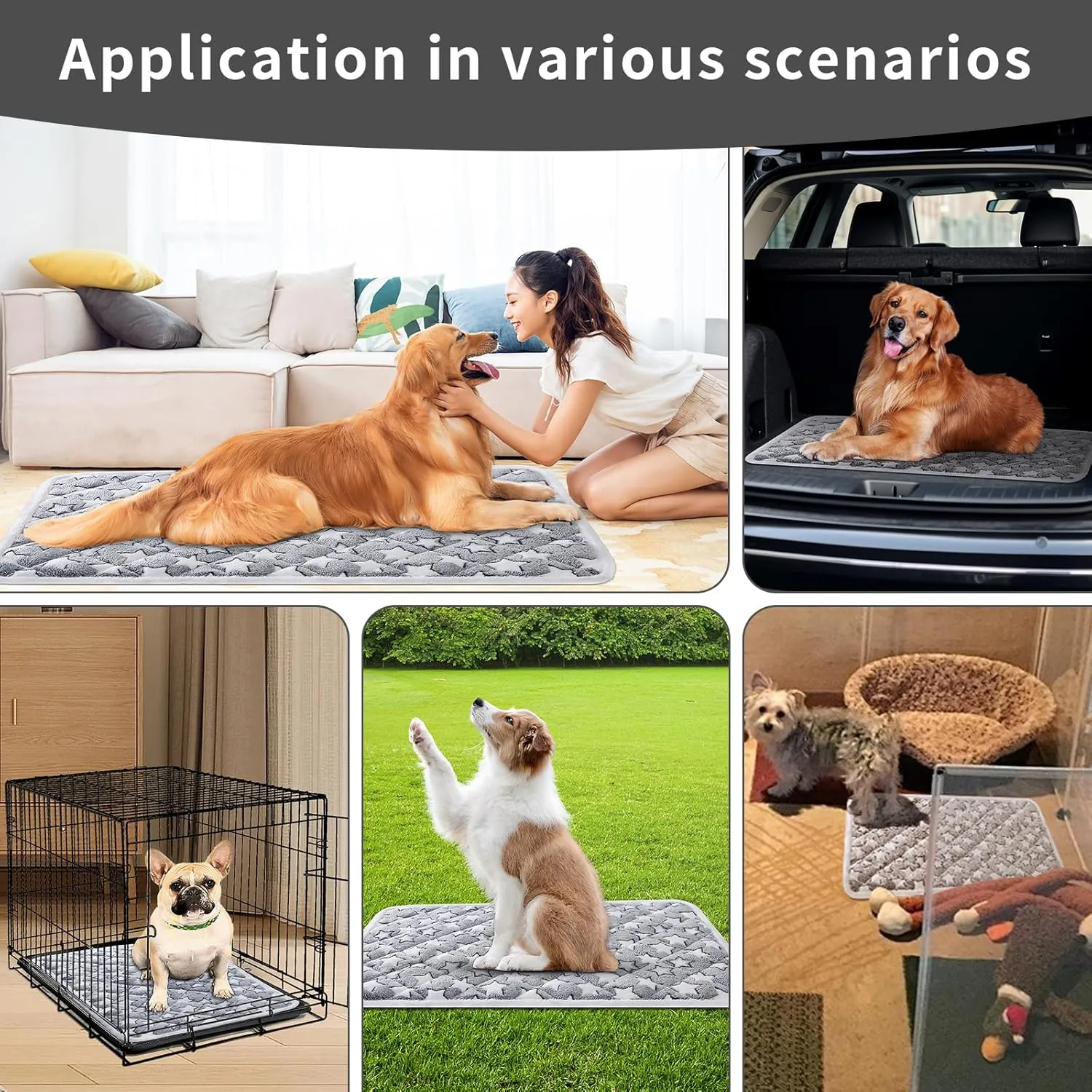 Dog Crate Mats, Soft Reversible Dog Bed Mat, Cat Mat - 24x16 Inch, Short Plush Pet Mat Crate Mat for Small Dogs, 0.6-inch Thick Thin Dog Mat, Machine Washable Ideal for 24-Inch Dog Crates