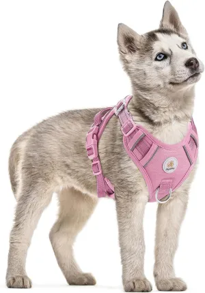 Dog Harness Small Sized Dog, No Pull Pet Harness with 2 Metal Rings and Control Handle, Adjustable Soft Dog Vest with Reflective Strips, Easy Walking and Training for Small Dogs, Pink, S