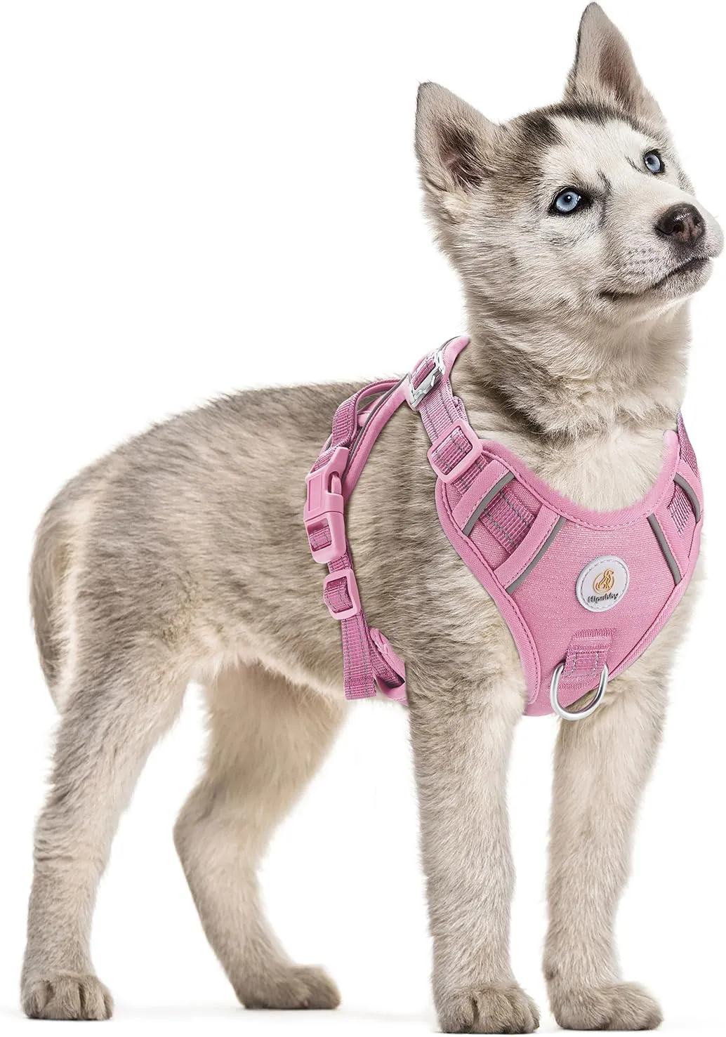 Dog Harness Small Sized Dog, No Pull Pet Harness with 2 Metal Rings and Control Handle, Adjustable Soft Dog Vest with Reflective Strips, Easy Walking and Training for Small Dogs, Pink, S