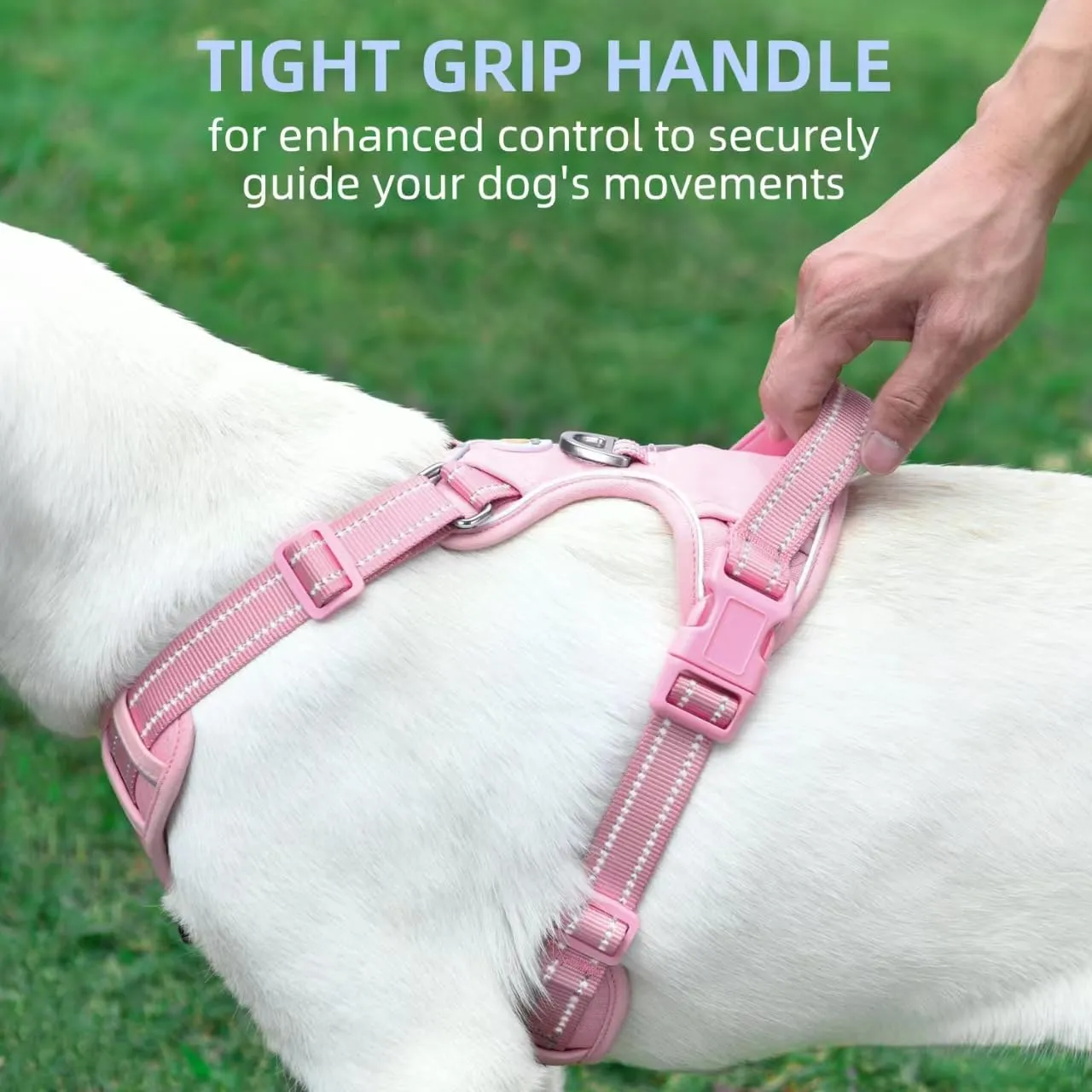 Dog Harness Small Sized Dog, No Pull Pet Harness with 2 Metal Rings and Control Handle, Adjustable Soft Dog Vest with Reflective Strips, Easy Walking and Training for Small Dogs, Pink, S