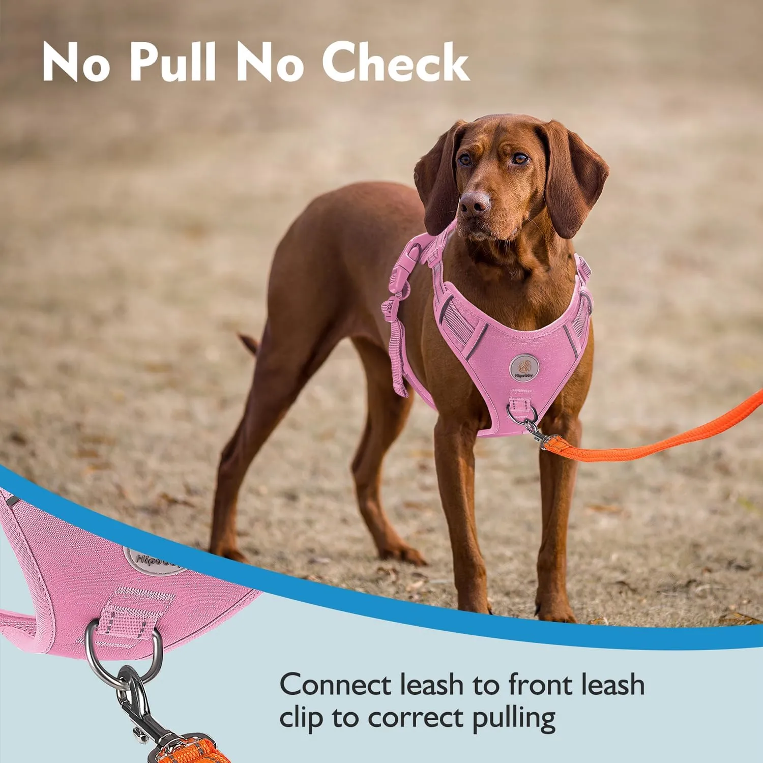 Dog Harness Small Sized Dog, No Pull Pet Harness with 2 Metal Rings and Control Handle, Adjustable Soft Dog Vest with Reflective Strips, Easy Walking and Training for Small Dogs, Pink, S