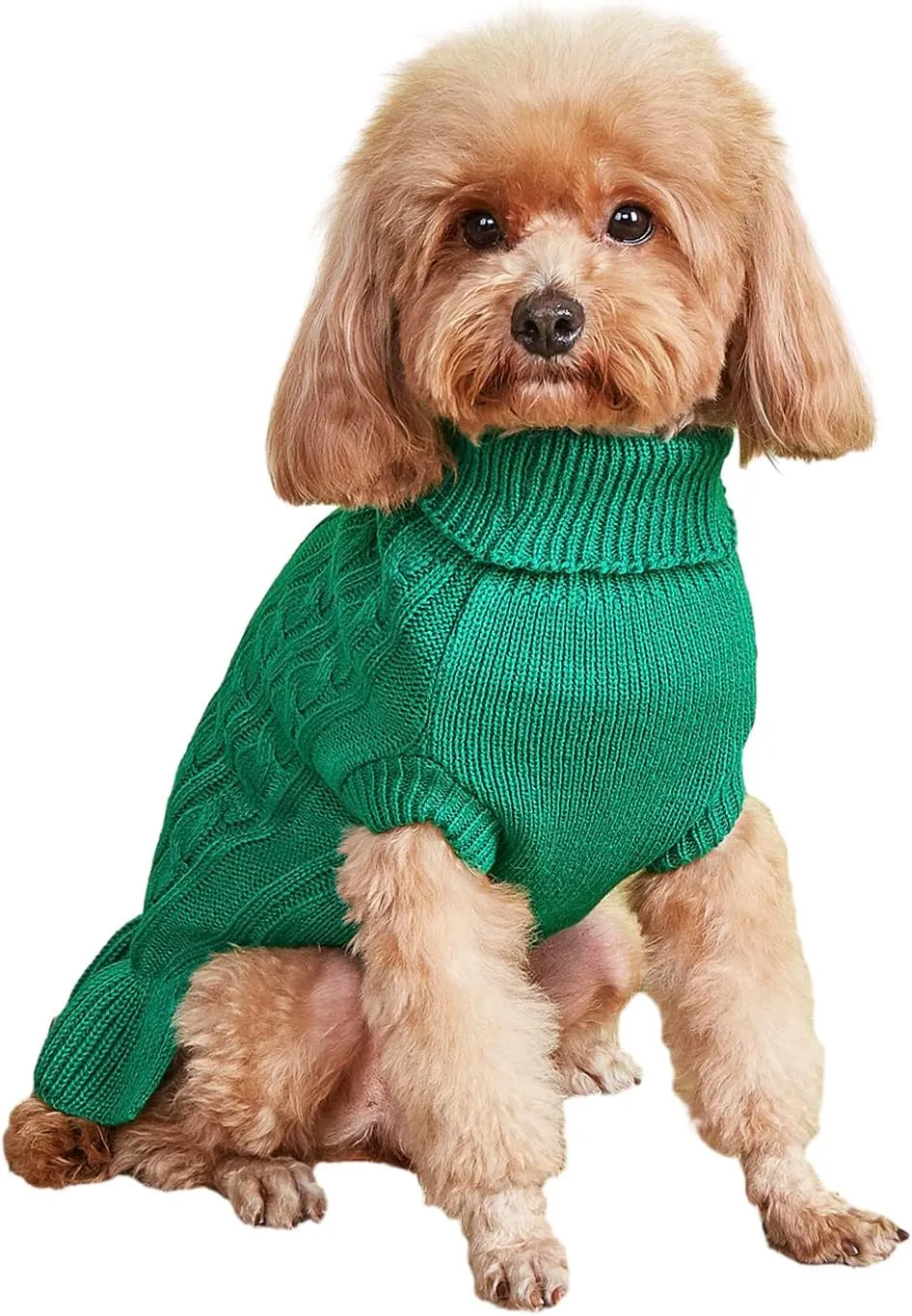 Dog Sweater - Cute Knitted Classic Cat Sweater & Coat for Girls Dog Puppy Cat (Green, XX-Small)