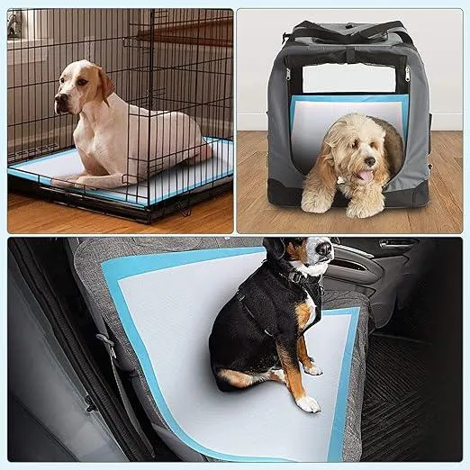 Dog Training Pads Puppy Pee Pads Leak-Proof Potty Pads for Dogs, Puppies, Cats, Rabbits, Quick Absorb Disposable Pet Training Pads for Housetraining (60 * 40cm)
