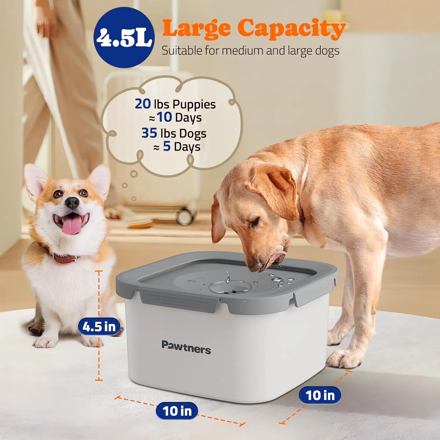 Dog Water Bowl No Spill, 4.5L Stainless Steel Dog Floating Bowl, Slow Water Bowl for Dog with Filter, Non-Slip Base, No Splash Water Bowl for Medium Large Messy Drinkers White