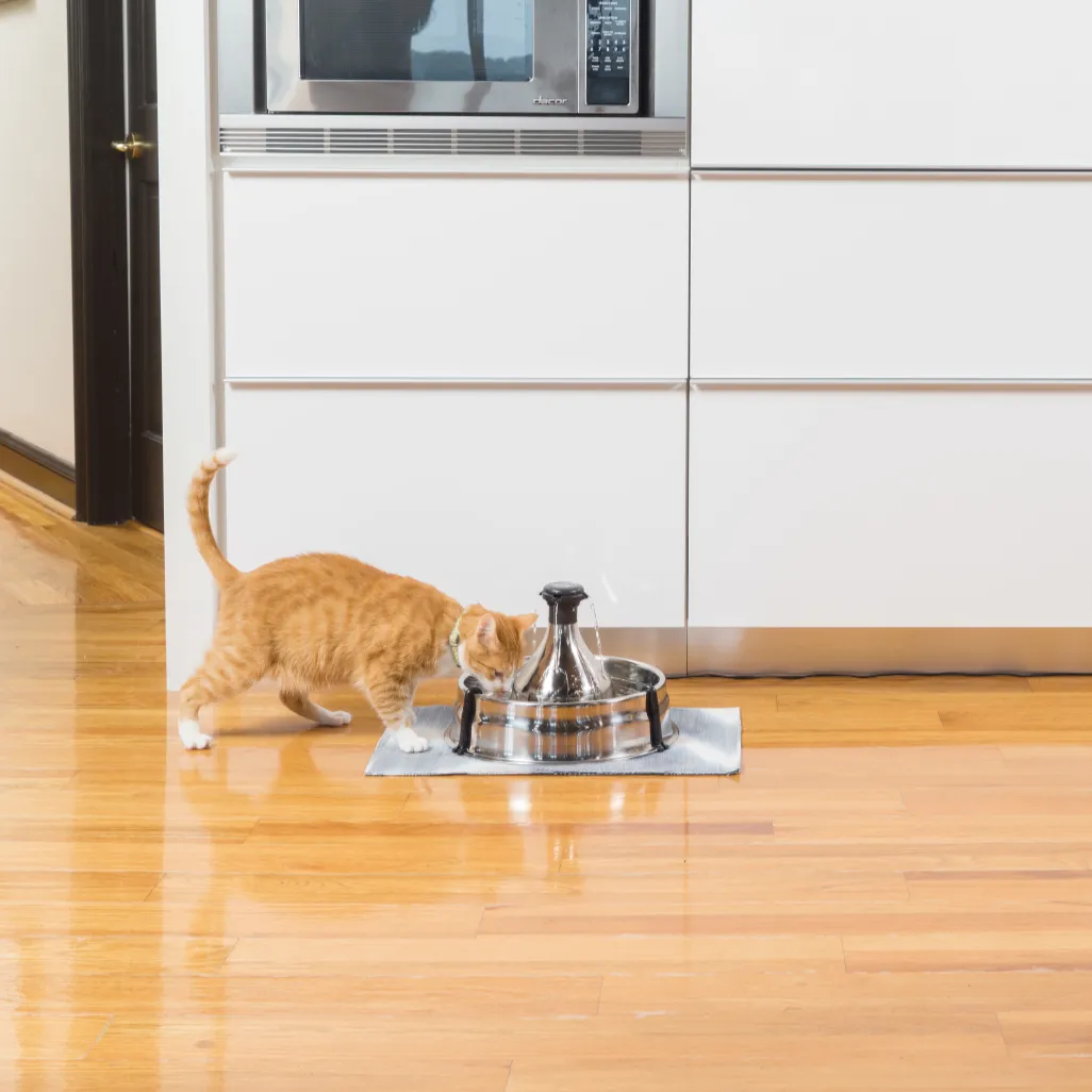 Drinkwell® 360 Stainless Steel Pet Fountain