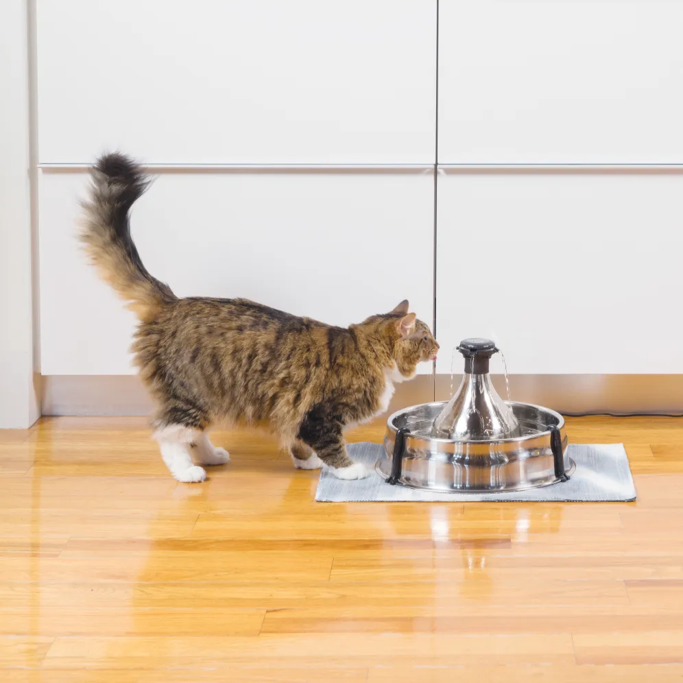 Drinkwell® 360 Stainless Steel Pet Fountain