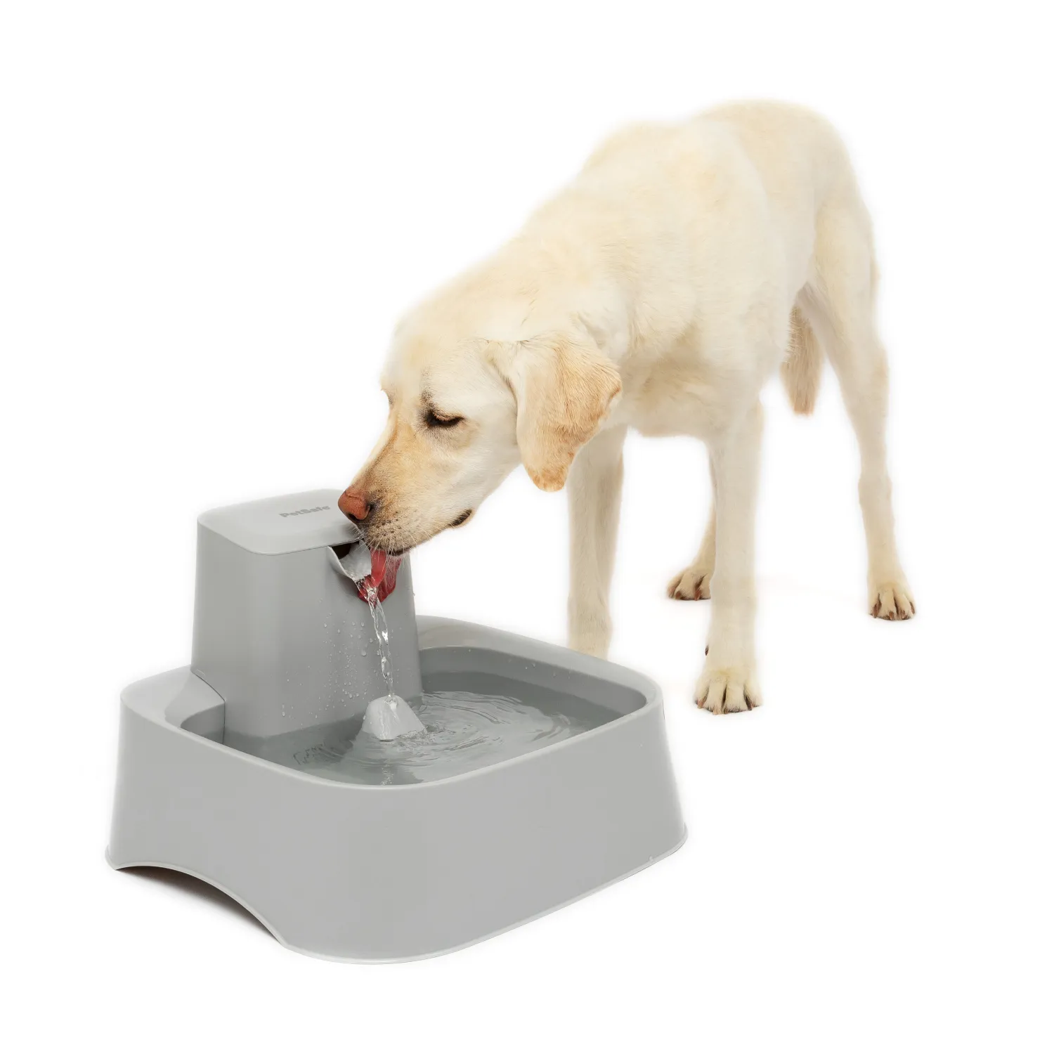 Drinkwell® 7.5 Litre Pet Fountain