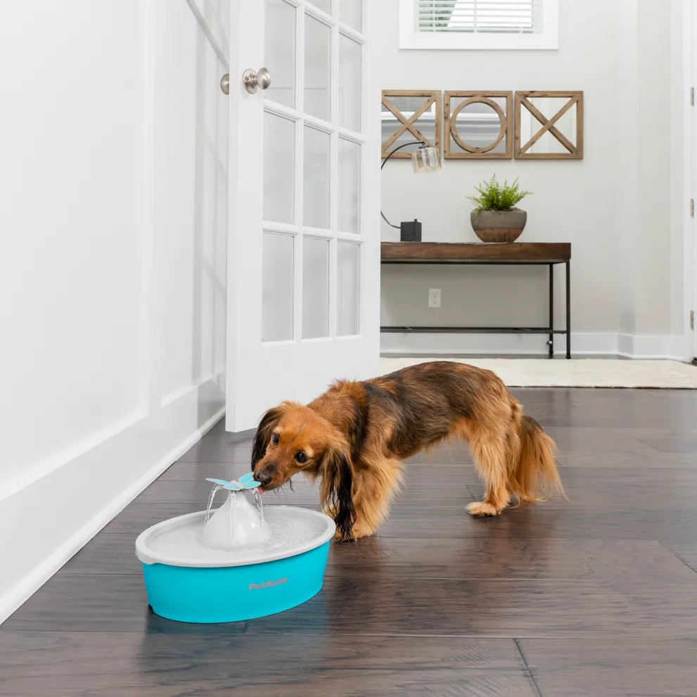Drinkwell® Butterfly Pet Fountain