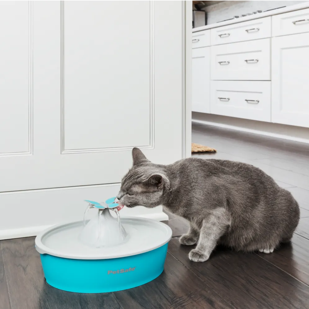 Drinkwell® Butterfly Pet Fountain