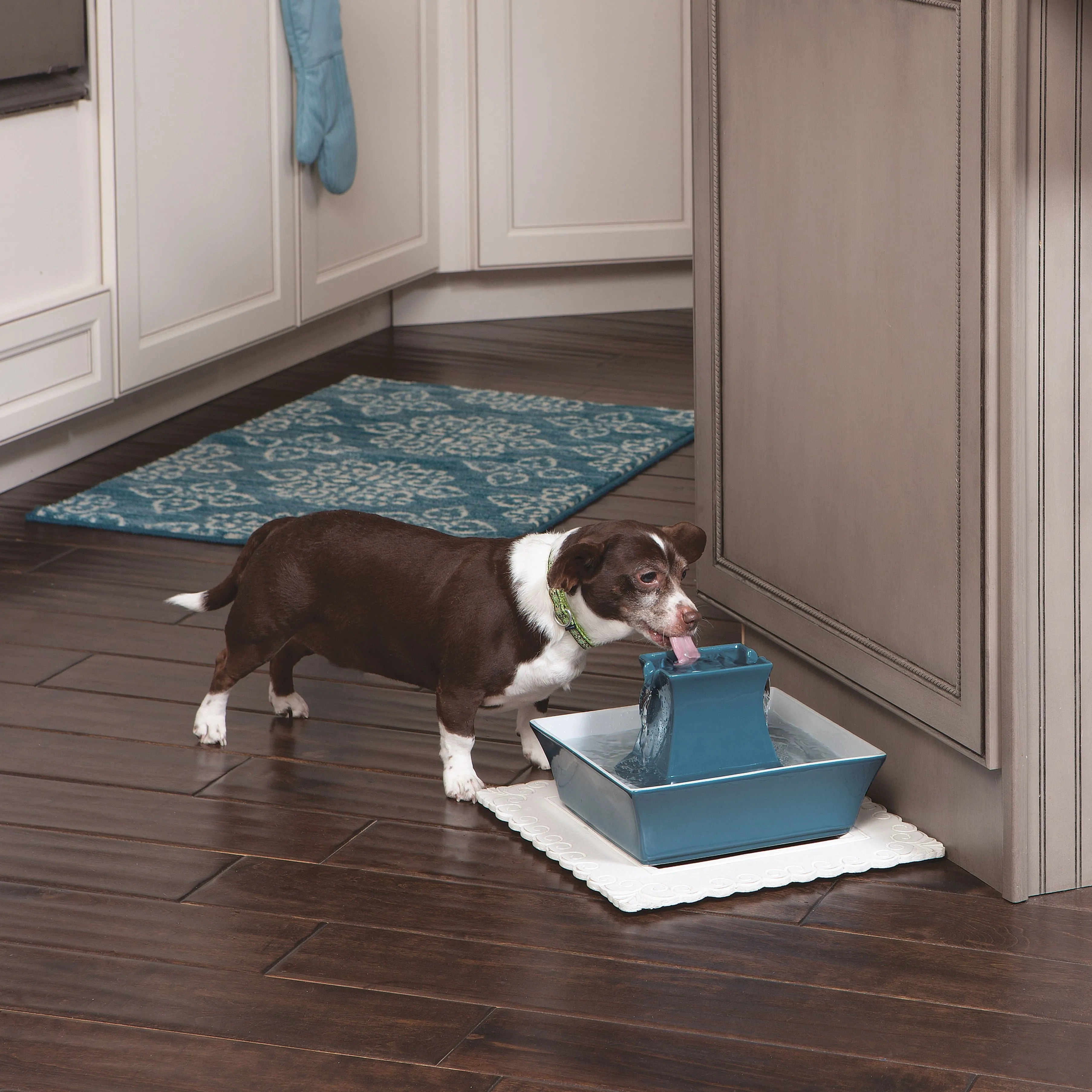 Drinkwell® Pagoda Pet Fountain