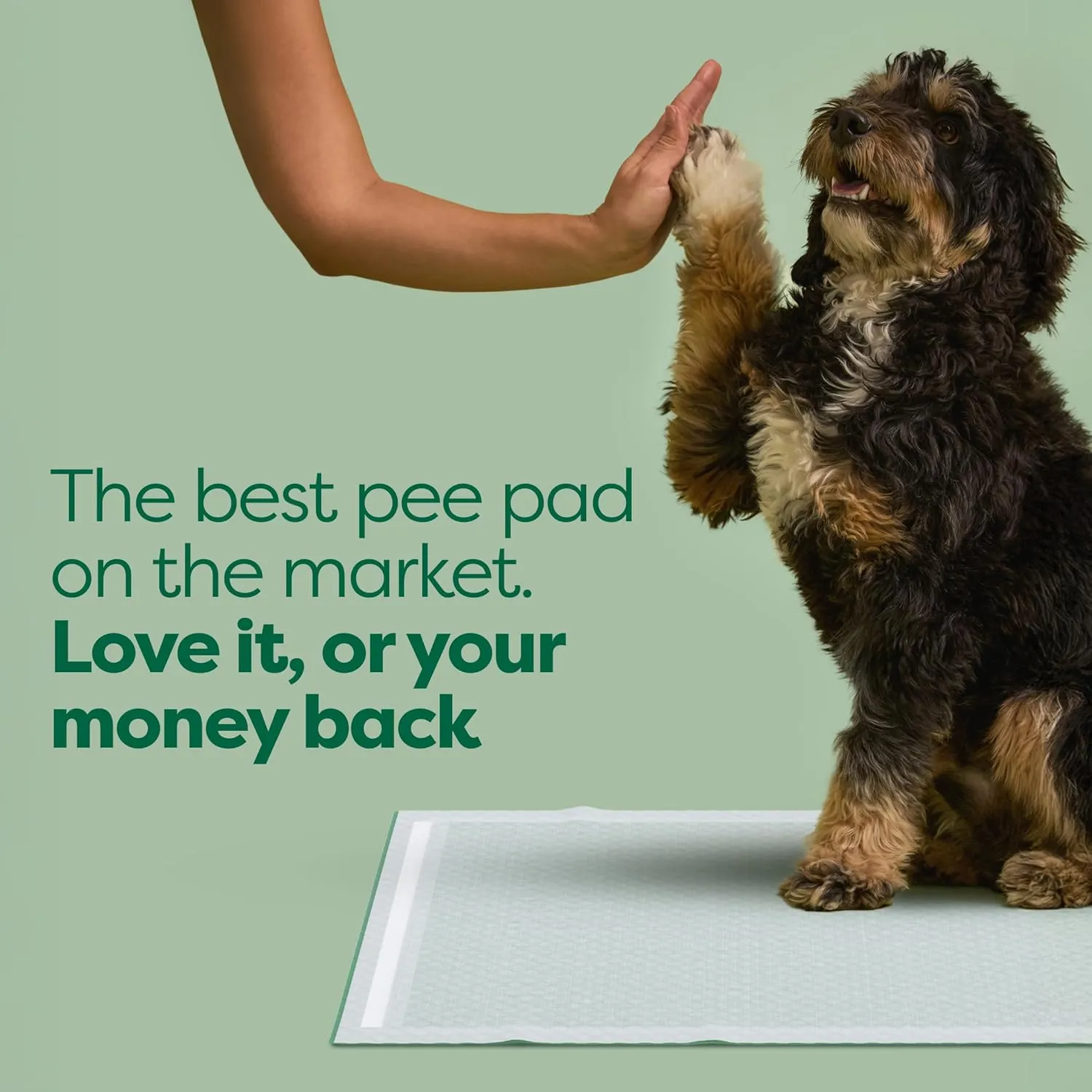 Earth Rated 3-in-1 Max Absorbency Puppy Pee Pads for Dogs, Odor Blocking, Leak Prevention Potty Training Pad, 3XL, 36 x 36 Inches, 25 Count