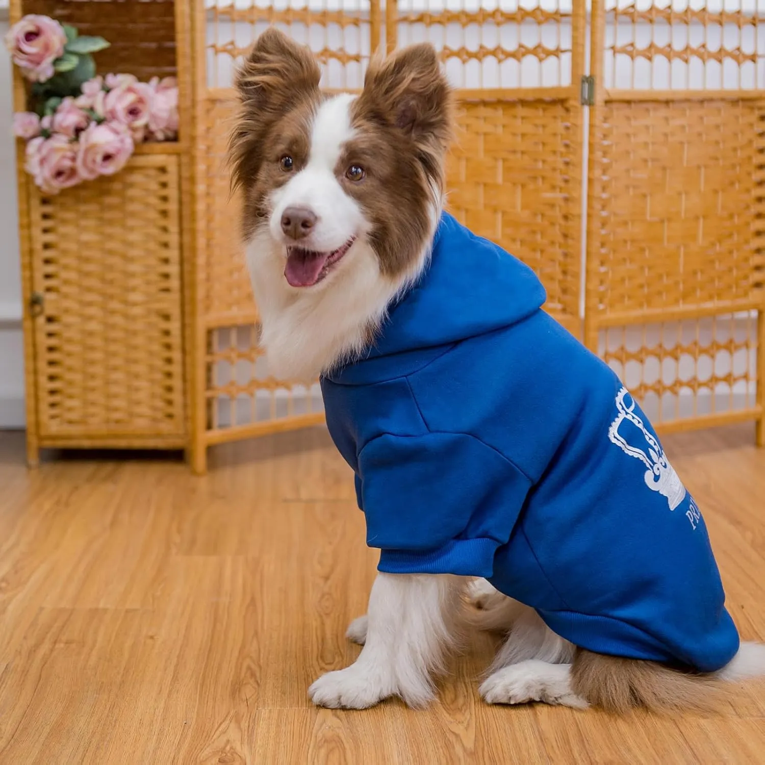 EXPAWLORER Prince Dog Hoodie for Boys - Hooded Sweater With Leash Hole, Cold Weather Clothes, Sweatshirt With Pocket, Warm Pet Outfit, Winter Coats for XS-XXL Dogs