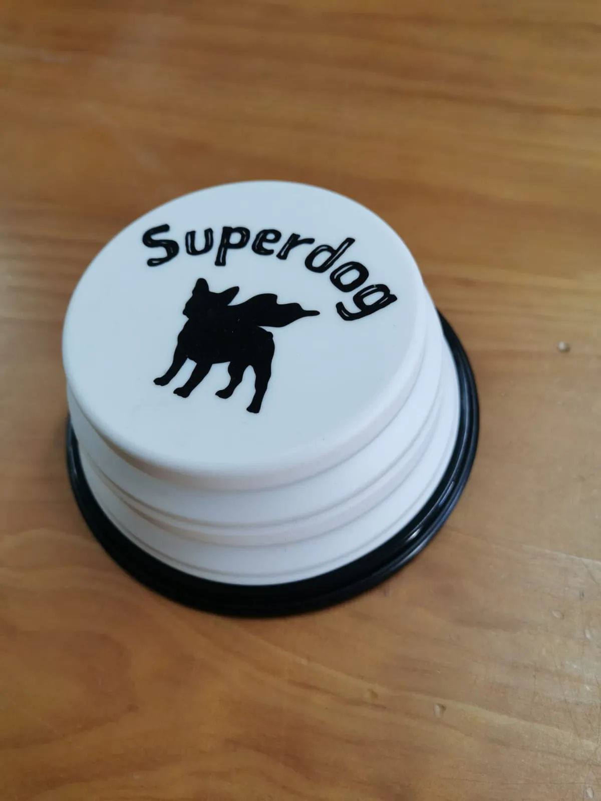Foldable Dog Bowl