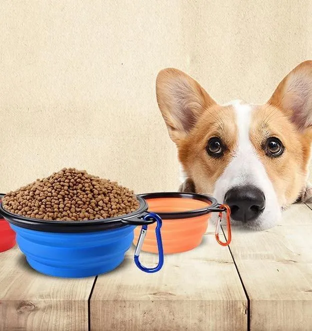 Foldable Travel Doggie Bowl