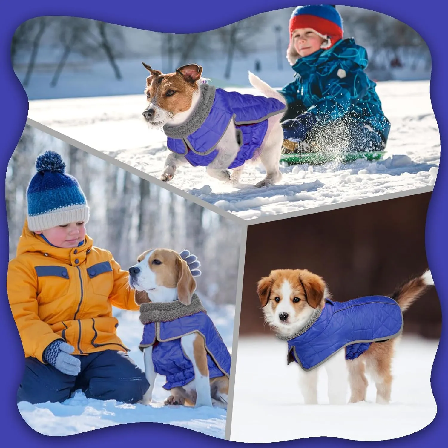 Fragralley Dog Coat, Waterproof Windproof Dog Winter Coat, Reflective Dog Cold Weather Coats with Harness Hole, Dog Warm Fleece Jacket Vest for Small Medium Large Puppy Clothes, Ideal Dog Gifts