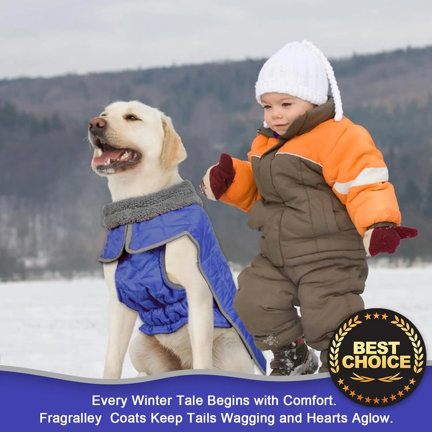 Fragralley Dog Coat, Waterproof Windproof Dog Winter Coat, Reflective Dog Cold Weather Coats with Harness Hole, Dog Warm Fleece Jacket Vest for Small Medium Large Puppy Clothes, Ideal Dog Gifts