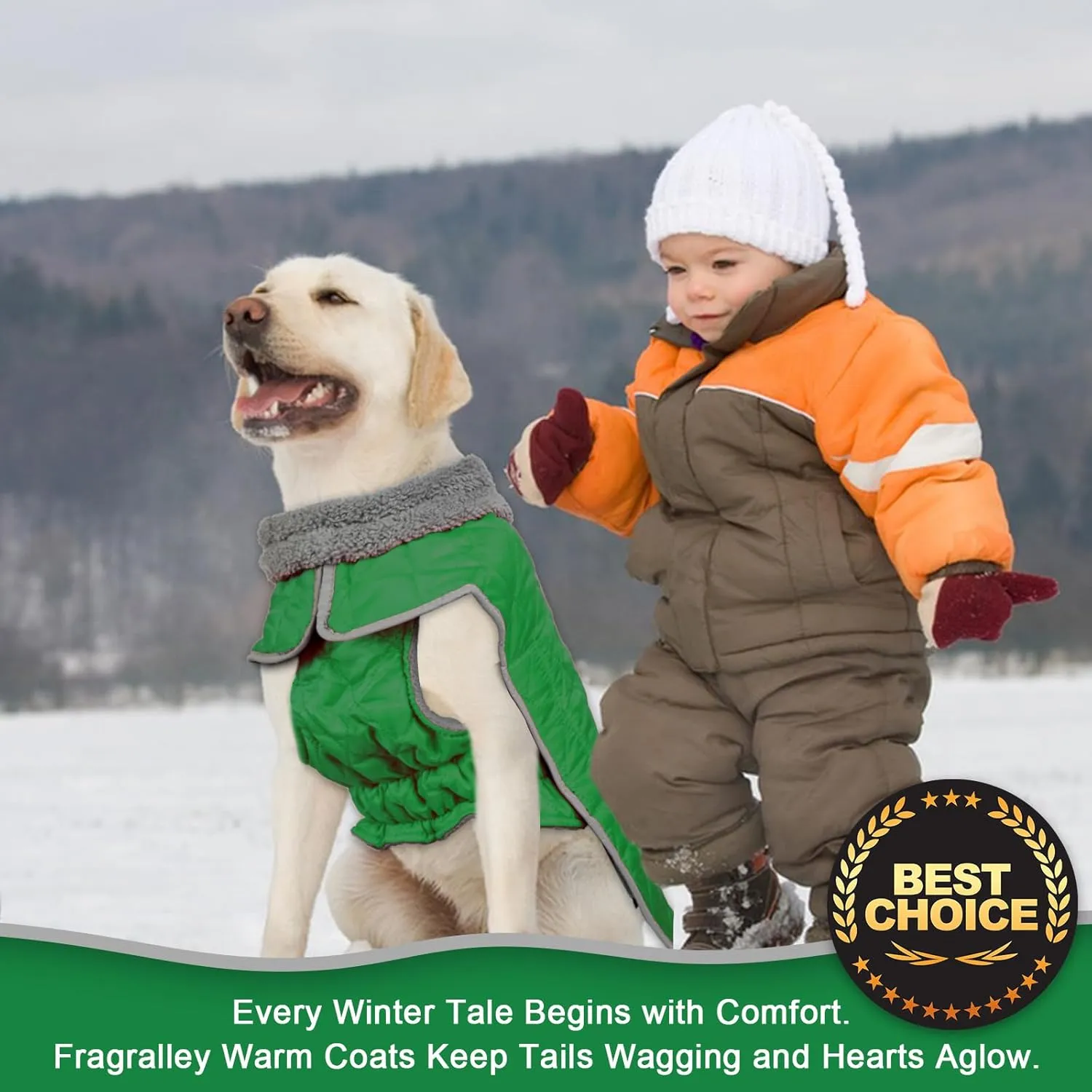 Fragralley Dog Coat, Waterproof Windproof Dog Winter Coat, Reflective Dog Cold Weather Coats with Harness Hole, Dog Warm Fleece Jacket Vest for Small Medium Large Puppy Clothes, Ideal Dog Gifts