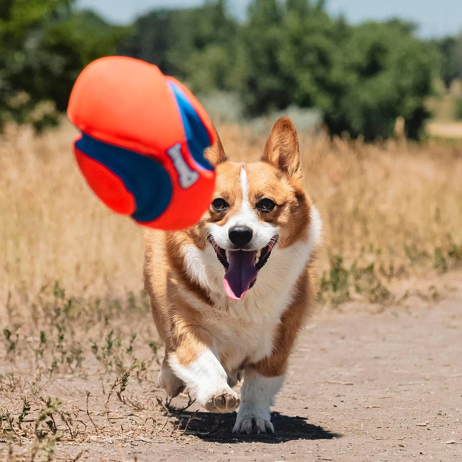 Fumble Fetch Football Dog Toy - Small