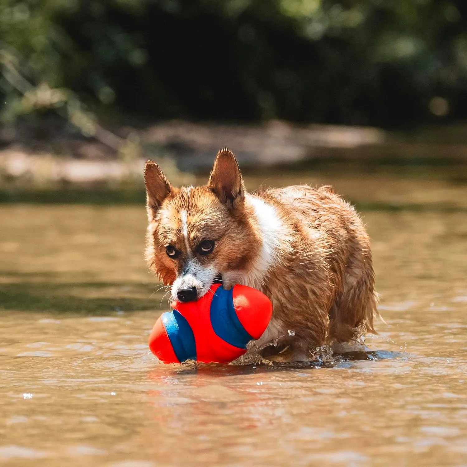 Fumble Fetch Football Dog Toy - Small