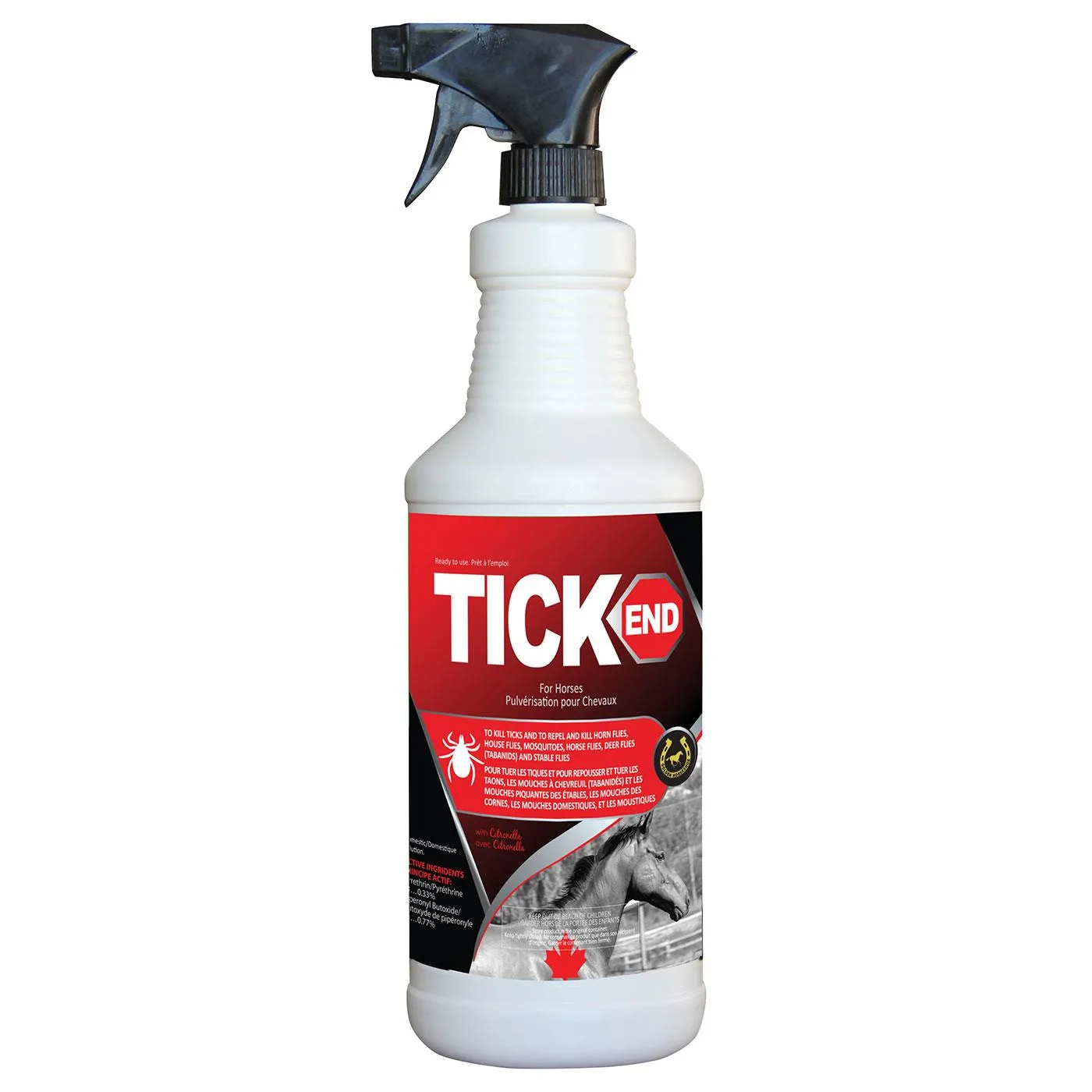 Golden Horseshoe Tick End