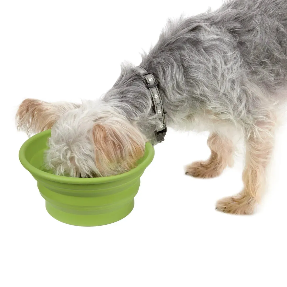 Guardian Gear Bend-a-Bowl M
