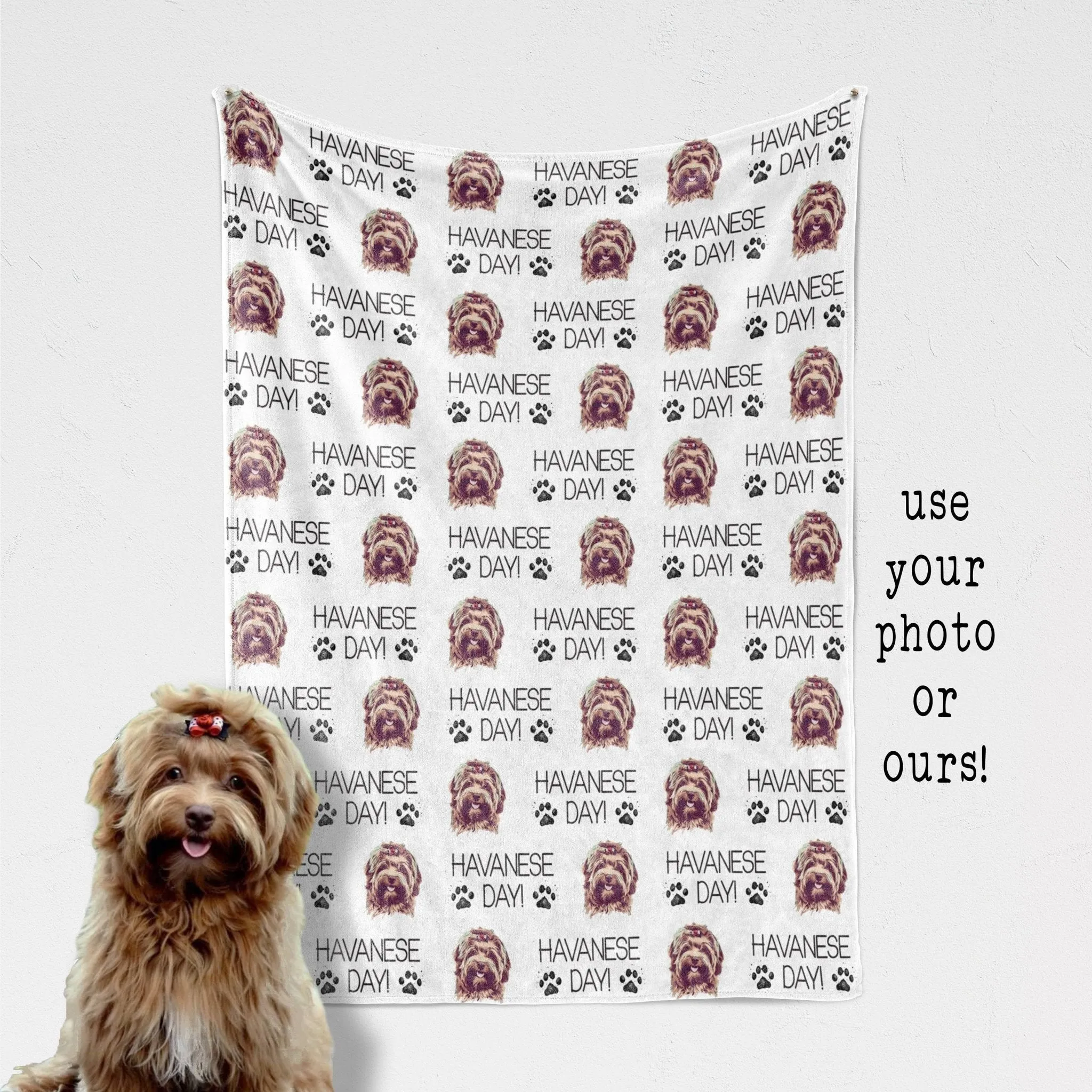 Havanese Day Funny Custom Photo Dog Blanket