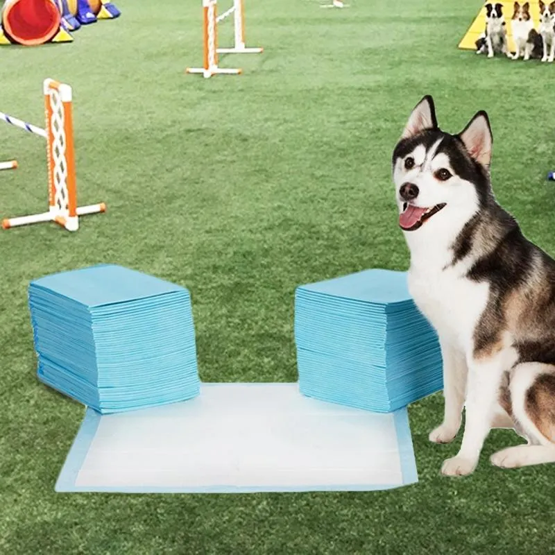 Heavy-Duty Training Pads for Pets